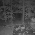 Generic_AMCREST-002-20260801-2203409492-Cam-2-Type-0