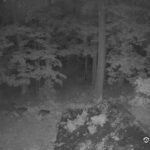 Generic_AMCREST-002-20260802-0500046338-Cam-2-Type-0