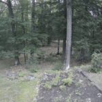 Generic_AMCREST-002-20260802-0530042722-Cam-2-Type-0