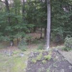 Generic_AMCREST-002-20260802-0600049529-Cam-2-Type-0