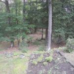 Generic_AMCREST-002-20260802-0830071675-Cam-2-Type-0