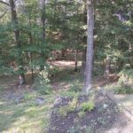 Generic_AMCREST-002-20260826-1730228034-Cam-2-Type-0
