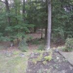 Generic_AMCREST-002-20260826-1900256088-Cam-2-Type-0