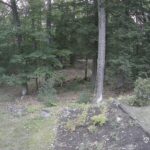 Generic_AMCREST-002-20260826-1930254873-Cam-2-Type-0
