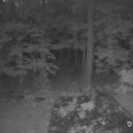Generic_AMCREST-002-20260826-2000252574-Cam-2-Type-0