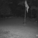Generic_AMCREST-001-20260914-2030191768-Cam-1-Type-0