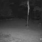 Generic_AMCREST-001-20260914-2100198314-Cam-1-Type-0