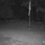 Generic_AMCREST-001-20260915-0430019965-Cam-1-Type-0