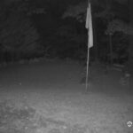 Generic_AMCREST-001-20260915-0530031131-Cam-1-Type-0
