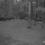 Generic_AMCREST-001-20260915-0600037897-Cam-1-Type-0
