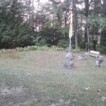 Generic_AMCREST-001-20260915-0700034705-Cam-1-Type-0