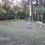 Generic_AMCREST-001-20260915-0800033470-Cam-1-Type-0