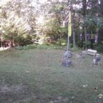 Generic_AMCREST-001-20260915-0830042236-Cam-1-Type-0