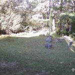 Generic_AMCREST-001-20260915-0900051106-Cam-1-Type-0
