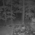 Generic_AMCREST-002-20260914-2030189534-Cam-2-Type-0