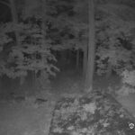 Generic_AMCREST-002-20260914-2100196235-Cam-2-Type-0