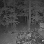 Generic_AMCREST-002-20260915-0530022018-Cam-2-Type-0