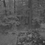 Generic_AMCREST-002-20260915-0600028885-Cam-2-Type-0