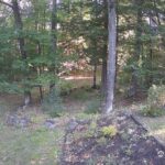 Generic_AMCREST-002-20260915-0730056407-Cam-2-Type-0