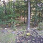 Generic_AMCREST-002-20260915-0800055446-Cam-2-Type-0