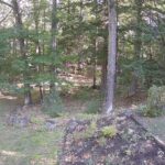 Generic_AMCREST-002-20260915-0930053321-Cam-2-Type-0