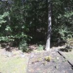 Generic_AMCREST-002-20260915-1300116235-Cam-2-Type-0