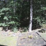 Generic_AMCREST-002-20260915-1330115229-Cam-2-Type-0