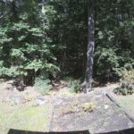 Generic_AMCREST-002-20260915-1400114436-Cam-2-Type-0