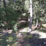 Generic_AMCREST-002-20260915-1600139610-Cam-2-Type-0