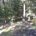 Generic_AMCREST-002-20260915-1630148137-Cam-2-Type-0