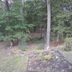 Generic_AMCREST-002-20260915-1700157884-Cam-2-Type-0