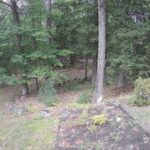 Generic_AMCREST-002-20260915-1730167634-Cam-2-Type-0