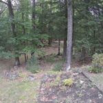 Generic_AMCREST-002-20260915-1800176449-Cam-2-Type-0