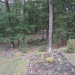 Generic_AMCREST-002-20260915-1830175064-Cam-2-Type-0