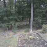 Generic_AMCREST-002-20260915-1900173080-Cam-2-Type-0