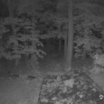 Generic_AMCREST-002-20260915-1930180735-Cam-2-Type-0