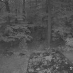 Generic_AMCREST-002-20260916-0600022204-Cam-2-Type-0