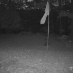 Generic_AMCREST-001-20261022-1830191590-Cam-1-Type-0