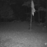 Generic_AMCREST-001-20261022-1900198291-Cam-1-Type-0