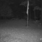 Generic_AMCREST-001-20261022-1930195096-Cam-1-Type-0