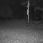 Generic_AMCREST-001-20261022-2000192079-Cam-1-Type-0