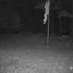 Generic_AMCREST-001-20261022-2030198914-Cam-1-Type-0