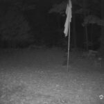 Generic_AMCREST-001-20261022-2100205581-Cam-1-Type-0