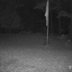 Generic_AMCREST-001-20261023-0430010267-Cam-1-Type-0