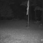 Generic_AMCREST-001-20261023-0500015872-Cam-1-Type-0