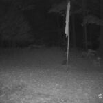 Generic_AMCREST-001-20261023-0530012698-Cam-1-Type-0