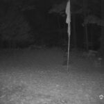 Generic_AMCREST-001-20261023-0600018347-Cam-1-Type-0