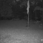 Generic_AMCREST-001-20261023-0630025513-Cam-1-Type-0
