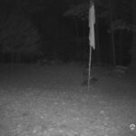 Generic_AMCREST-001-20261029-2000222368-Cam-1-Type-0
