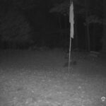 Generic_AMCREST-001-20261029-2030228870-Cam-1-Type-0